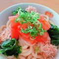 ☆３匹の子ぶた☆'s cooksnap of when they made 5分で完成＊冷た～い和風トマトうどん＊.