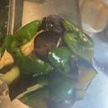 ミミキッチン's cooksnap of when they made レンジとめんつゆで簡単♪なすの煮浸し.