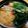 プルンバゴ's cooksnap of when they made 万能たれで簡単そばつゆ☆温かいねぎそば.