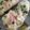 クックRJOLOZ☆'s cooksnap of when they made 手ごねウインナーロールパン.