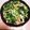 クック1DNB4P☆'s cooksnap of when they made 鶏肉とごぼう、かき菜の味噌炒め.