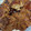 snow012's cooksnap of when they made 牛蒡と豚小間の照り焼きプチバーグ。.