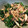 saki1010's cooksnap of when they made ほうれん草としめじのおかか酢醤油和え.