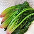 ムーミン☆ママ's cooksnap of when they made ほうれん草茹で方.