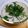 bonnet's cooksnap of when they made 茶碗蒸しのおばけｗ.