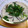 bonnet's cooksnap of when they made 茶碗蒸しのおばけｗ.