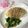 ❀あおい❀'s cooksnap of when they made 後がけソースの卵チャーハン.