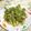 ❀あおい❀'s cooksnap of when they made 山菜の王様！タラの芽食べよう♬.