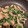 いちず★'s cooksnap of when they made ✿豚肉ほうれん草炒め✿.
