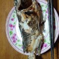 ♡Catherine's cooksnap of when they made メバルの塩焼き.