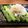 Yosshys's cooksnap of when they made アスパラステーキの半熟卵チーズがけ.