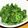pikopoo's cooksnap of when they made 山椒の葉のタレ漬け.