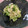 管理栄養士まみー♪'s cooksnap of when they made 里芋と水菜のからしマヨサラダ.