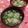 赤い電話's cooksnap of when they made おかずにもどうぞ、鶏団子みそ汁！.