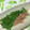 おはなすき's cooksnap of when they made 絹さやのおひたし・柚子胡椒風味.