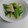 クックY4ZSOE☆'s cooksnap of when they made 簡単☆筍とわけぎのぬた☆.