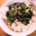 料理のしーちゃん's cooksnap of when they made わらびの味噌たたき！.
