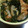 あゆたっくん's cooksnap of when they made さつま揚げと切り昆布のさっと煮.