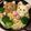 奈緒子93's cooksnap of when they made 大根おろしアート　リラックマのデコ鍋.