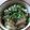 さちへ♪'s cooksnap of when they made 簡単♪シンプル鮭寿司.