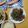 よちりん's cooksnap of when they made 【簡単】牛肉と豆苗のオイスター炒め.