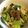 maxine's cooksnap of when they made 青梗菜の挽肉オイスター炒め.