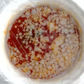 ♡ともりん's cooksnap of when they made 冷えた油の取り方☆.