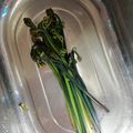 クックVESREV☆'s cooksnap of when they made わらびのアク抜き.