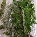 んーまっ's cooksnap of when they made 永久保存版「木の芽・山椒の新芽」冷凍保存.