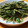 クックS96QIQ☆'s cooksnap of when they made 5月の山菜　こごみのごま和え.