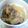めぎゅたろぅ。's cooksnap of when they made 豚ナンコツと大根のやわらか煮.