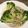 Yokchina's cooksnap of when they made 蒸し鶏のネギソースかけ(白切鶏).