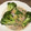 Yokchina's cooksnap of when they made 蒸し鶏のネギソースかけ(白切鶏).