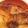 ねこのともだち's cooksnap of when they made フライパンで簡単！赤魚の煮付け.
