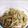 クレイクレイ礼's cooksnap of when they made 春キャベツとエビのジェノベーゼ生パスタ.