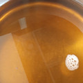 カクヨ's cooksnap of when they made おでん♪うどんに♪干し椎茸のだしの取り方.