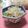 ももいろさくら's cooksnap of when they made 簡単★もやしのナムル.