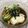 にことん's cooksnap of when they made LAWSONの真似っこwぶっかけもずく.