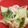 ブランシュkuu's cooksnap of when they made 青梗菜とカニカマの胡麻マヨ和え.