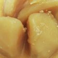 しーくれっと・らいふ's cooksnap of when they made 大根とじゃがいもの味噌煮.