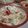 tenco1220's cooksnap of when they made ゴーヤと豆腐のサラダ.