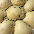 Mʕ•ᴥ•ʔ's cooksnap of when they made 簡単！10分！フライパン蒸しパン.