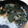 RIKOTORA's cooksnap of when they made ★お弁当に♡簡単鮭マヨのり弁★.