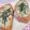 在宅勤務のおじさん's cooksnap of when they made 辛子明太マヨの大葉海苔バゲット.