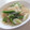 きらり流れ星's cooksnap of when they made しらたきの塩麹炒め.