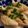 のみのみ。's cooksnap of when they made 簡単！すぐ焼ける！！ささ身のチーズ焼き.