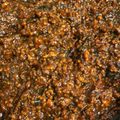 MUJIRUSI☆'s cooksnap of when they made おにぎりの具といえば！肉味噌.