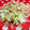 みっくママ's cooksnap of when they made キャベツのゆず胡椒と鰹節和え♪.