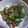 クック00Q0QZ☆'s cooksnap of when they made お弁当★オクラのさっぱり梅おかか★常備菜.