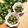 2880naaao's cooksnap of when they made 作り置き♪オクラの胡麻和え♪.